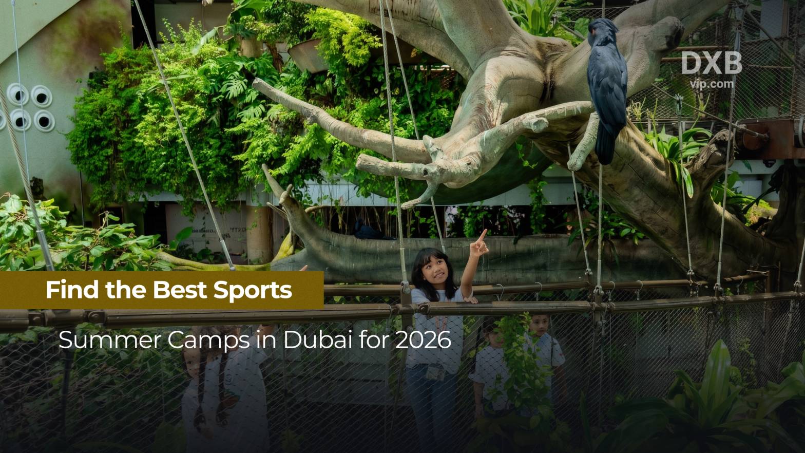 Find the Best Sports Summer Camps in Dubai for 2026