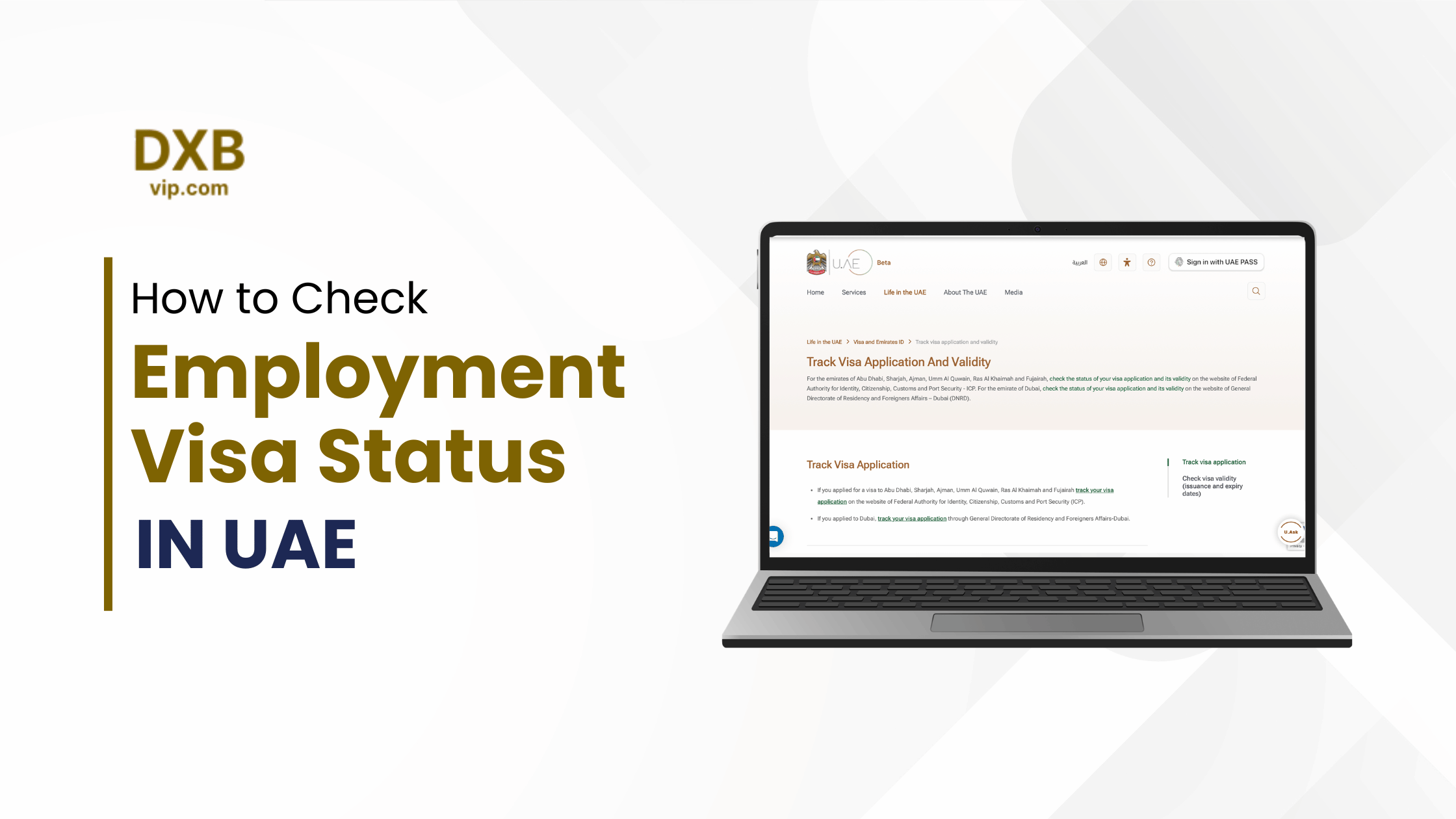 how to check employment visa status in UAE