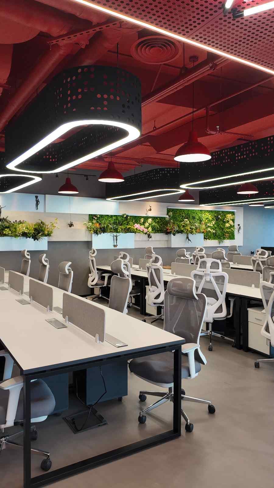 AZORA GROUP, DXB-VIP, WE DUBAI REAL ESTATE, LLV REAL ESTATE